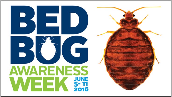 Bed-Bug-Awareness-Week.jpg