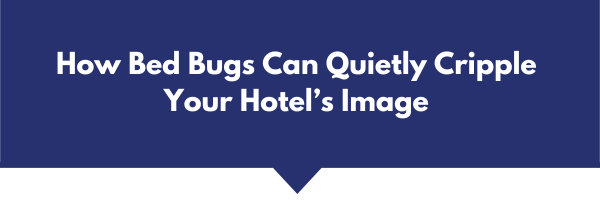 BedBugsCripple