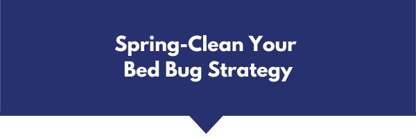 bbstrategy